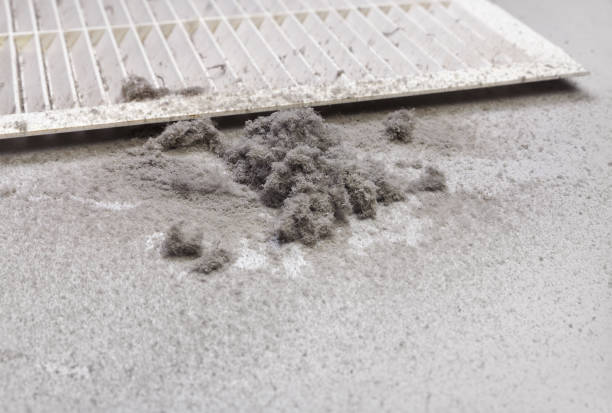 Best General Air Duct Cleaning  in Cresaptown, MD