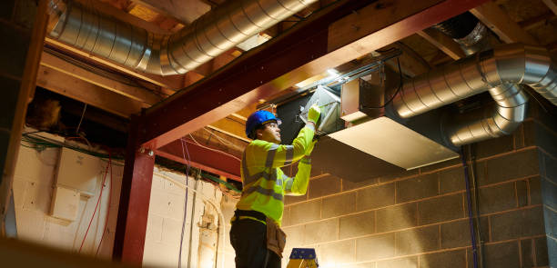 Best Air Duct Mold Removal  in Cresaptown, MD