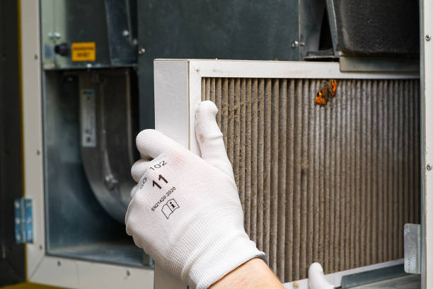 Best Duct Cleaning for Offices  in Cresaptown, MD