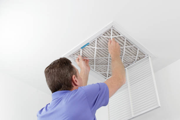 Best Local Air Duct Cleaning Services  in Cresaptown, MD